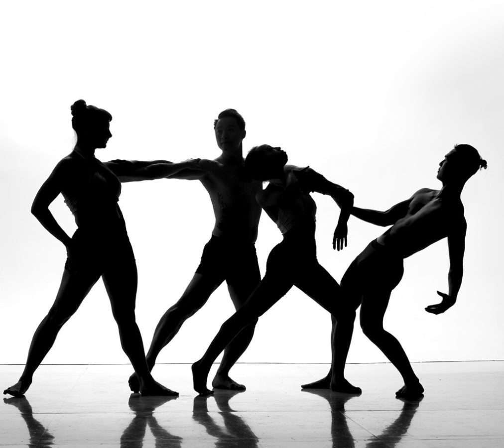 Meet Our Dancers
